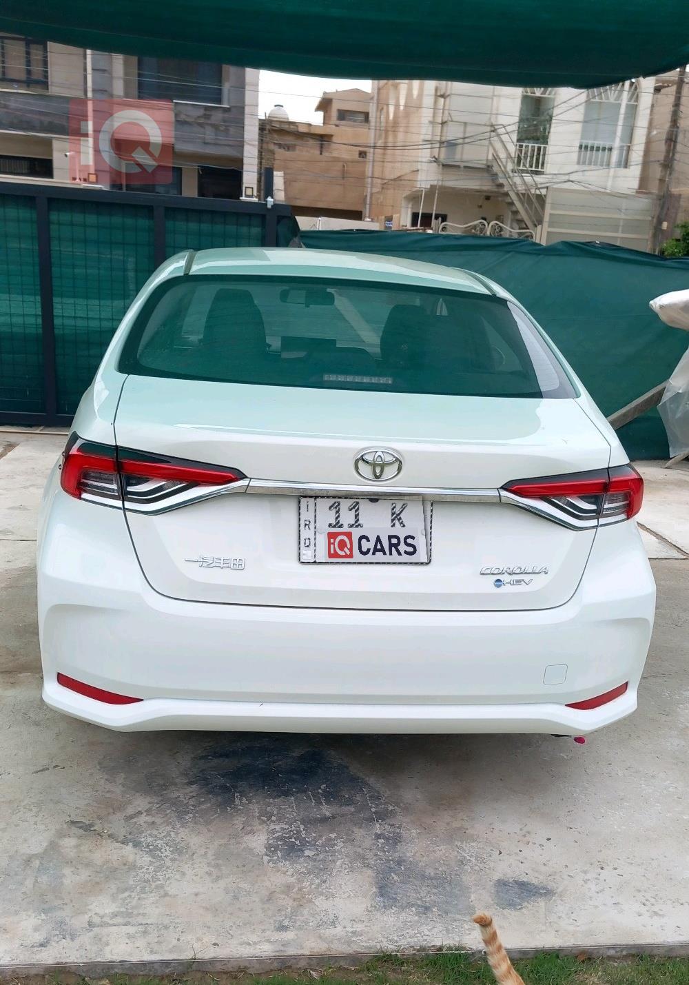 تويوتا كورولا